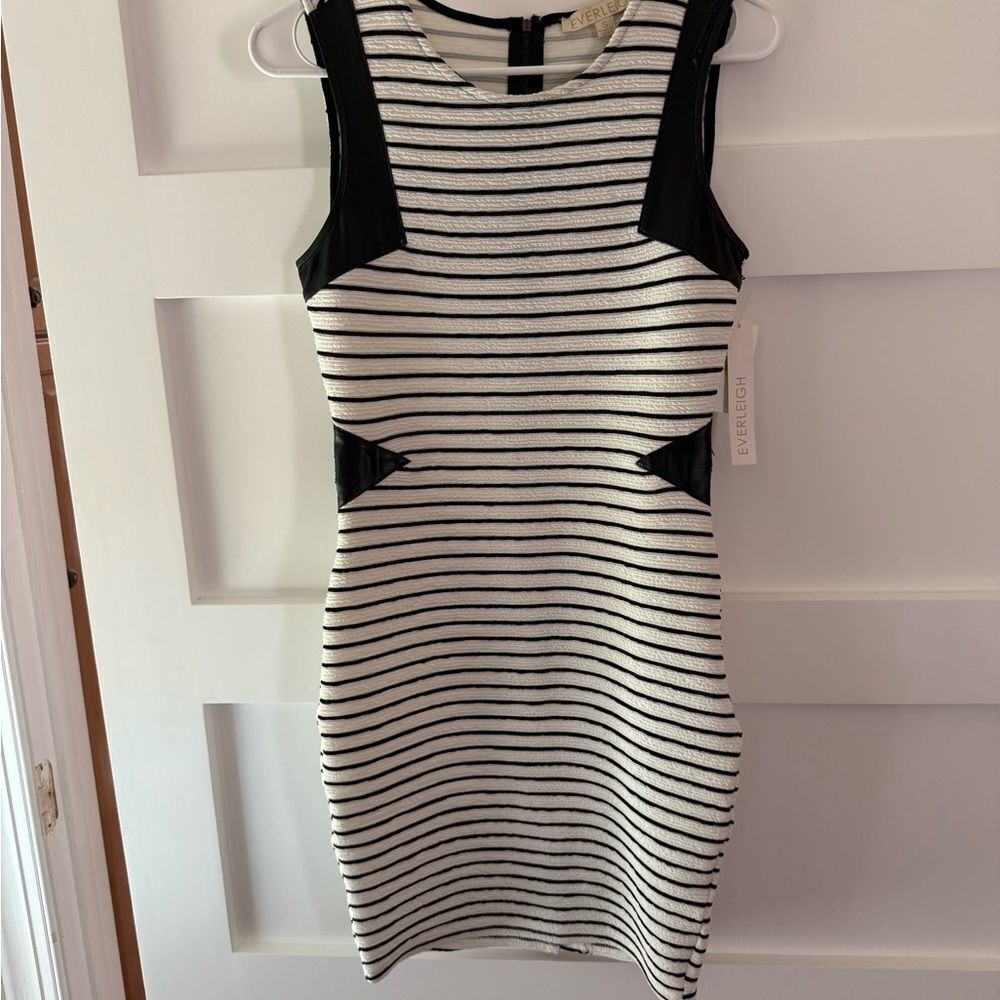New Everleigh Bodycon Black and White Striped Dress
